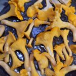 Photo Mushrooms, cooking